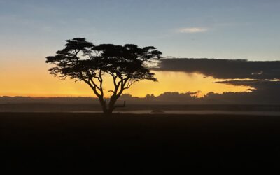 Sunrise in Tanzania